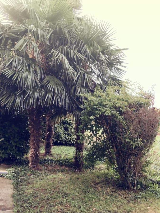 Villa Sofia Pramaggiore Exteriér fotografie