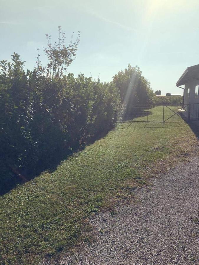 Villa Sofia Pramaggiore Exteriér fotografie