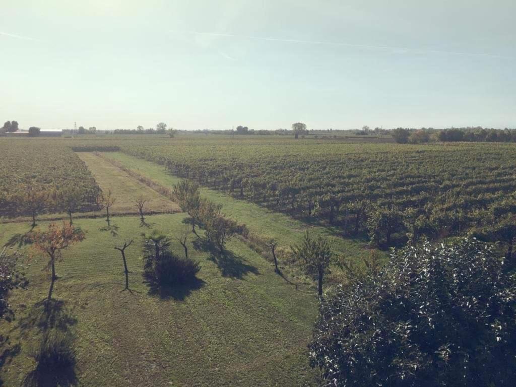 Villa Sofia Pramaggiore Exteriér fotografie