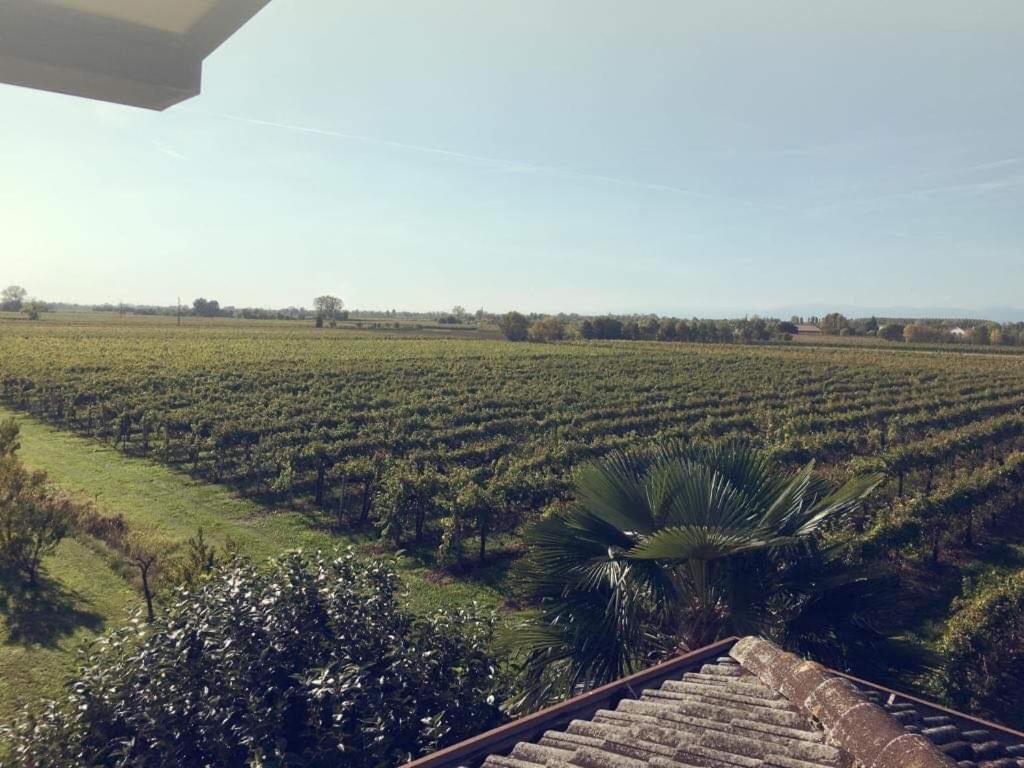 Villa Sofia Pramaggiore Exteriér fotografie